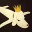 うはのプロフィール画像