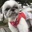 まゆみのプロフィール画像