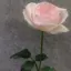華穂のプロフィール画像