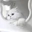 緋のプロフィール画像
