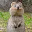 a i ❁︎のプロフィール画像