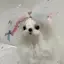 きのプロフィール画像