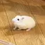 なかやまのプロフィール画像