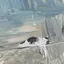 るんのプロフィール画像