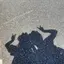 Honokaのプロフィール画像