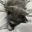 aのプロフィール画像