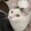 ほなみのプロフィール画像