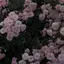 まうのプロフィール画像