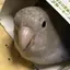 KANAのプロフィール画像