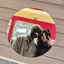 Momのプロフィール画像