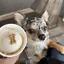 Chieのプロフィール画像