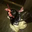 紅葉のプロフィール画像
