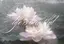 ^ᴗ ̫ ᴗ^♡のプロフィール画像