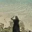 ここのプロフィール画像
