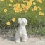 はるかのプロフィール画像