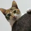 こはるのプロフィール画像