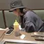 Tomoのプロフィール画像