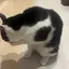 眞奈のプロフィール画像