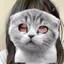 >ㅇ<のプロフィール画像