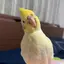 Bumiのプロフィール画像