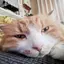 あやのプロフィール画像