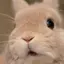 naのプロフィール画像
