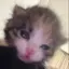静雯のプロフィール画像