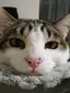 ぜろのプロフィール画像