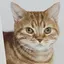 mのプロフィール画像