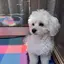 ひとみのプロフィール画像