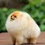 アナのプロフィール画像