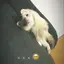 akiho...のプロフィール画像