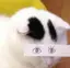 みかのプロフィール画像