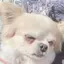みりーのプロフィール画像