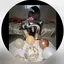みゆのプロフィール画像