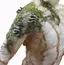 SENAのプロフィール画像