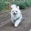 みのプロフィール画像