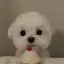 Uのプロフィール画像