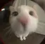 サエのプロフィール画像