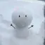 もちもちのプロフィール画像