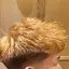 サランウィットのプロフィール画像