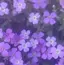 hiyoriのプロフィール画像