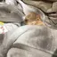 まゆぅーのプロフィール画像