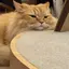 ちさとのプロフィール画像