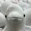 mのプロフィール画像