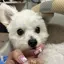 kaoruのプロフィール画像