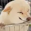 光のプロフィール画像