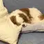 ユイのプロフィール画像