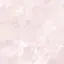 🍒のプロフィール画像
