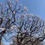高橋のプロフィール画像